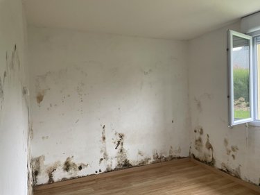 Maison a vendre Lanrelas 22250 Côtes-d'Armor 98 m2  74500 euros