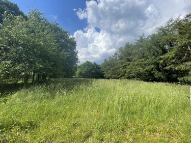 Divers a vendre Priziac 56320 Morbihan 200 m2  63600 euros
