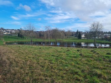 Terrain a batir a vendre Pleugriffet 56120 Morbihan 3740 m2  37400 euros