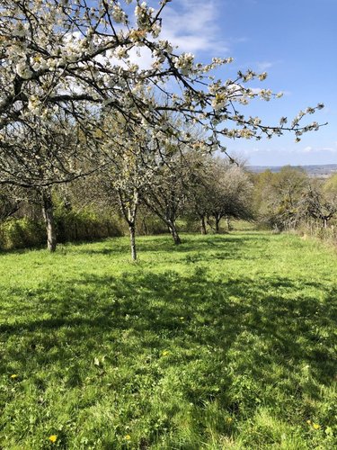 Maison a vendre Ambronay 01500 Ain 30 m2 2 pièces 55000 euros