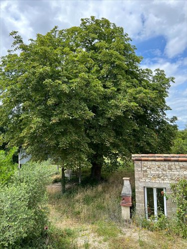 Maison a vendre Chaveignes 37120 Indre-et-Loire 140 m2 5 pièces 199120 euros