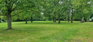 Divers a vendre Bournand 86120 Vienne 310 m2  899000 euros