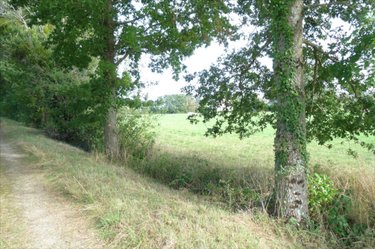 Terrain a batir a vendre Ambrières-les-Vallées 53300 Mayenne 1500 m2  40000 euros