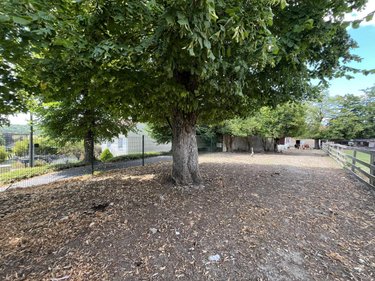 Maison a vendre Courmas 51390 Marne 268 m2 9 pièces 230600 euros