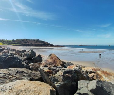 Divers a vendre Plougasnou 29630 Finistère 450 m2  368000 euros