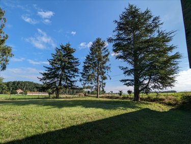 Maison a vendre Champigny-sur-Veude 37120 Indre-et-Loire 210 m2 7 pièces 207504 euros