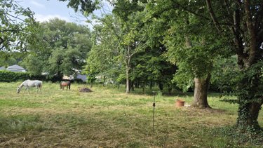 Maison a vendre Candé 49440 Maine-et-Loire 245 m2 7 pièces 322400 euros