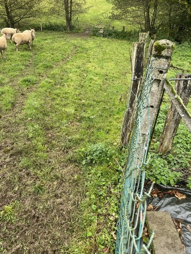 Maison a vendre Courson 14380 Calvados 43 m2 3 pièces 44940 euros