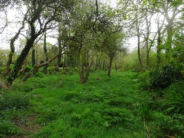 Maison a vendre Guilers 29820 Finistère 124 m2 5 pièces 218760 euros