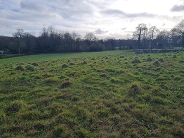 Terrain a batir a vendre Pleugriffet 56120 Morbihan 3740 m2  37400 euros