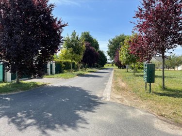 Terrain a batir a vendre Richelieu 37120 Indre-et-Loire 1127 m2  21500 euros