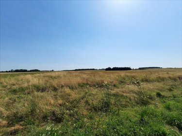 Bien agricole a vendre Anjouin 36210 Indre  654000 euros