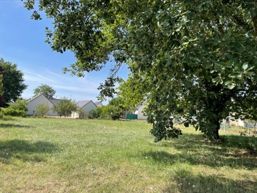 Terrain a batir a vendre Richelieu 37120 Indre-et-Loire 2346 m2  45500 euros