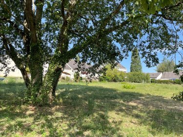Terrain a batir a vendre Richelieu 37120 Indre-et-Loire 2346 m2  45500 euros