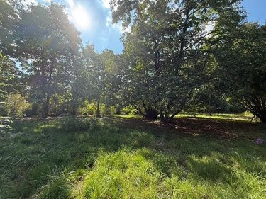 Terrain a batir a vendre Bouchemaine 49080 Maine-et-Loire 3365 m2  419200 euros