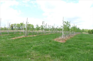 Bien agricole a vendre Soucé 53300 Mayenne  624000 euros