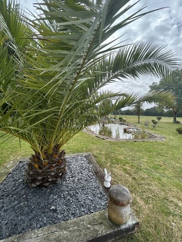 Maison a vendre Lanvollon 22290 Côtes-d'Armor 201 m2 6 pièces 646600 euros