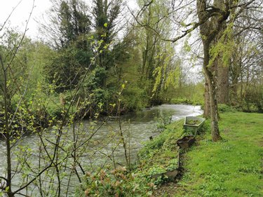 Maison a vendre Dennebroeucq 62560 Pas-de-Calais 215 m2 7 pièces 261250 euros