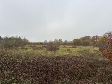 Terrains de loisirs bois etangs a vendre La Bazouge-des-Alleux 53470 Mayenne 53870 m2  48000 euros