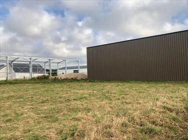 Terrain a batir a vendre Saint-Vaast-la-Hougue 50550 Manche 1087 m2  74800 euros