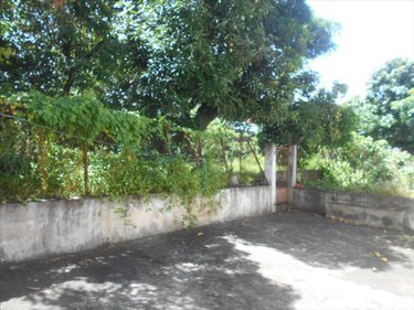Immeuble a vendre Saint-Pierre 97410 Réunion 336 m2  560000 euros