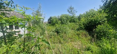 Maison a vendre Fromelles 59249 Nord 100 m2  194550 euros
