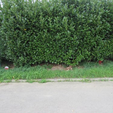 Terrain a batir a vendre Hambye 50450 Manche 1570 m2  31977 euros
