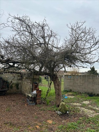 Maison a vendre Chaveignes 37120 Indre-et-Loire 150 m2 9 pièces 131000 euros