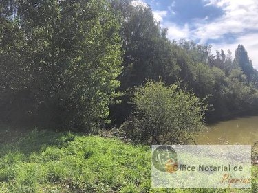 Terrains de loisirs bois etangs a vendre Pipriac 35550 Ille-et-Vilaine 7520 m2  28600 euros