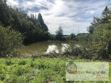 Terrains de loisirs bois etangs a vendre Pipriac 35550 Ille-et-Vilaine 7520 m2  28600 euros