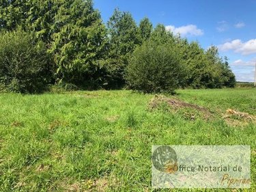 Terrains de loisirs bois etangs a vendre Pipriac 35550 Ille-et-Vilaine 7520 m2  28600 euros