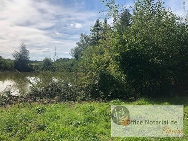 Terrains de loisirs bois etangs a vendre Pipriac 35550 Ille-et-Vilaine 7520 m2  28600 euros