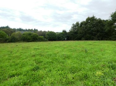 Terrain a batir a vendre Persquen 56160 Morbihan 2789 m2  29840 euros