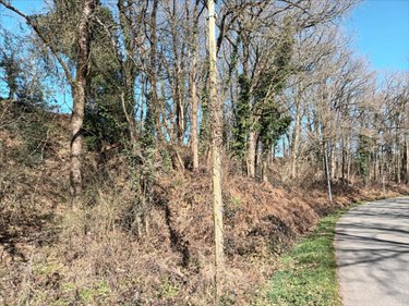 Terrains de loisirs bois etangs a vendre Saint-Fraimbault-de-Prières 53300 Mayenne 1640 m2  2500 euros
