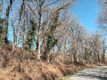 Terrains de loisirs bois etangs a vendre Saint-Fraimbault-de-Prières 53300 Mayenne 1640 m2  2500 euros