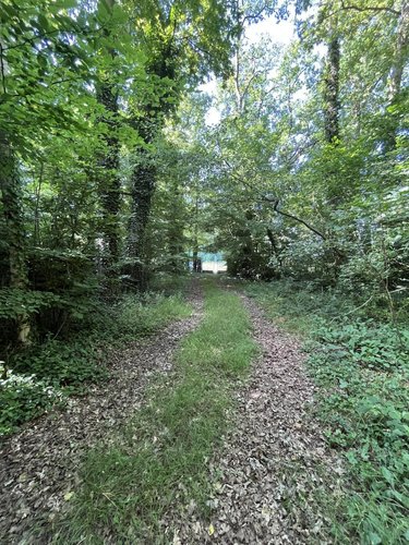Terrains de loisirs bois etangs a vendre Étouvelles 02000 Aisne 14500 m2  71000 euros