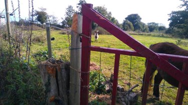 Terrains de loisirs bois etangs a vendre La Pernelle 50630 Manche 4760 m2  13200 euros