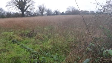 Terrain a batir a vendre Scrignac 29640 Finistère 3011 m2  24500 euros