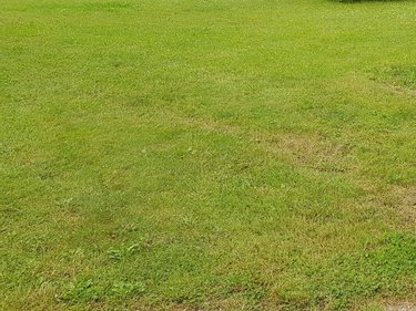 Terrains de loisirs bois etangs a vendre Dontrien 51490 Marne 2037 m2  53000 euros
