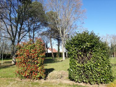 Maison a vendre Saint-Gervais-en-Belin 72220 Sarthe 196 m2 8 pièces 336000 euros