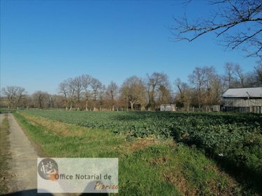 Terrain a batir a vendre Bruc-sur-Aff 35550 Ille-et-Vilaine 3321 m2  23600 euros