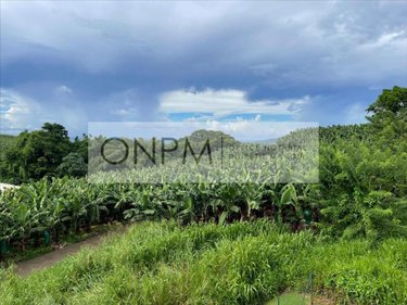 Appartement a vendre Le Robert 97231 Martinique 110 m2 4 pièces 168500 euros