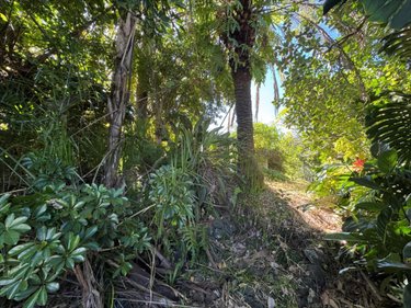 Maison a vendre Saint-Pierre 97410 Réunion 94 m2 4 pièces 325000 euros