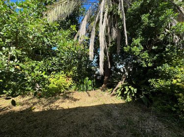 Maison a vendre Saint-Pierre 97410 Réunion 94 m2 4 pièces 325000 euros