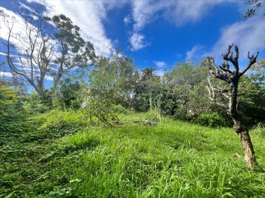 Maison a vendre Le Tampon 97430 Réunion 96 m2 4 pièces 215000 euros