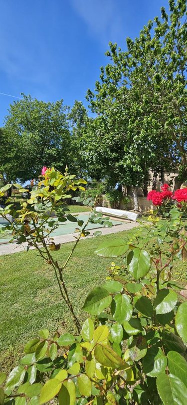 Maison a vendre Vergèze 30310 Gard 360 m2 9 pièces 1248500 euros