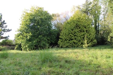 Terrain a batir a vendre Le Palais 56360 Morbihan 2137 m2  362250 euros