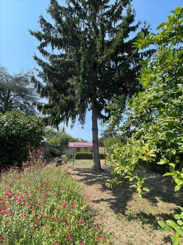 Maison a vendre Les Herbiers 85500 Vendée 159 m2 7 pièces 332800 euros