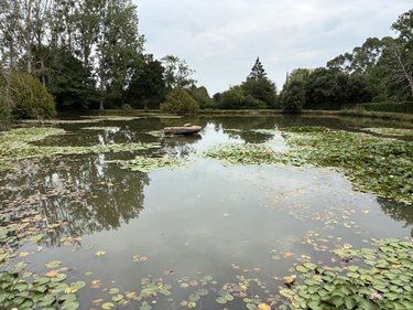 Terrains de loisirs bois etangs a vendre Brée 53150 Mayenne 8114 m2  69000 euros