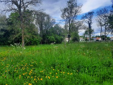 Terrain a batir a vendre Commequiers 85220 Vendée 3847 m2  173160 euros